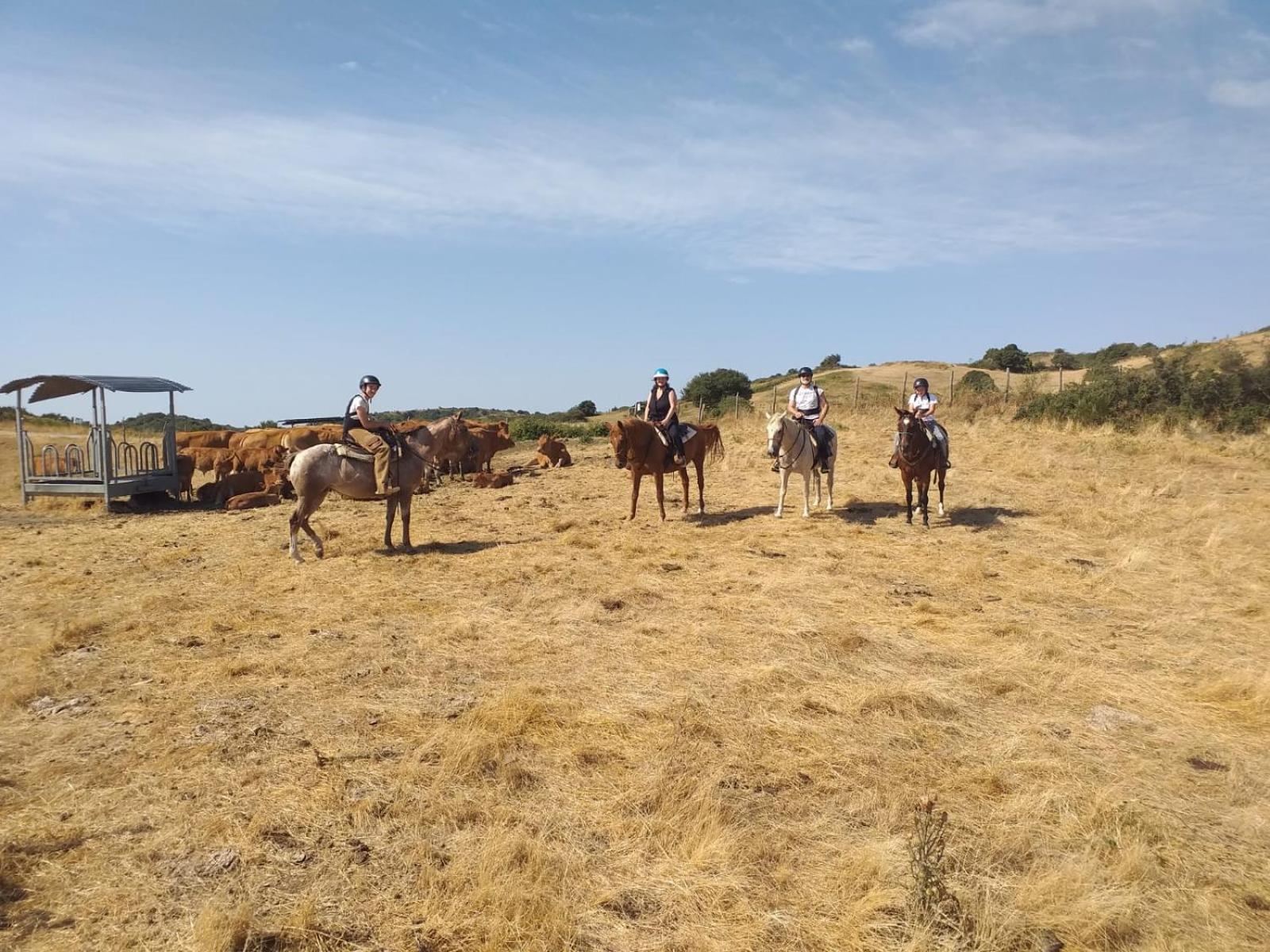 Agriturismo La Guinza Arcidosso Esterno foto
