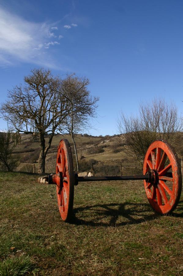 Agriturismo La Guinza Arcidosso Esterno foto