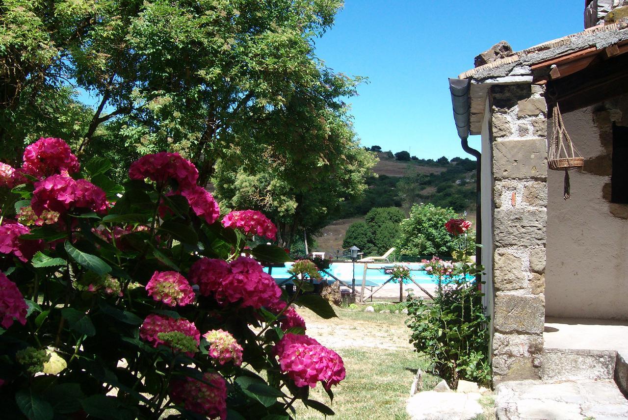 Agriturismo La Guinza Arcidosso Esterno foto