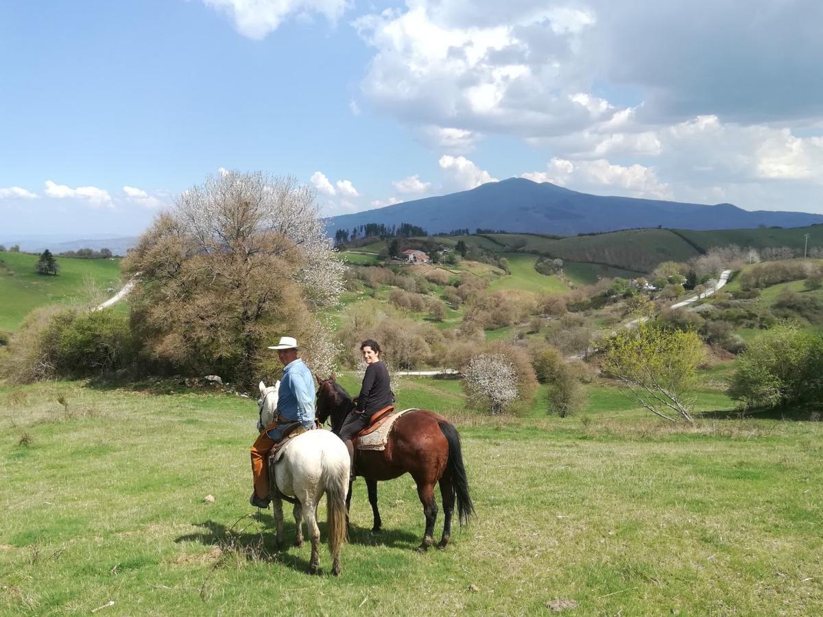 Agriturismo La Guinza Arcidosso Esterno foto