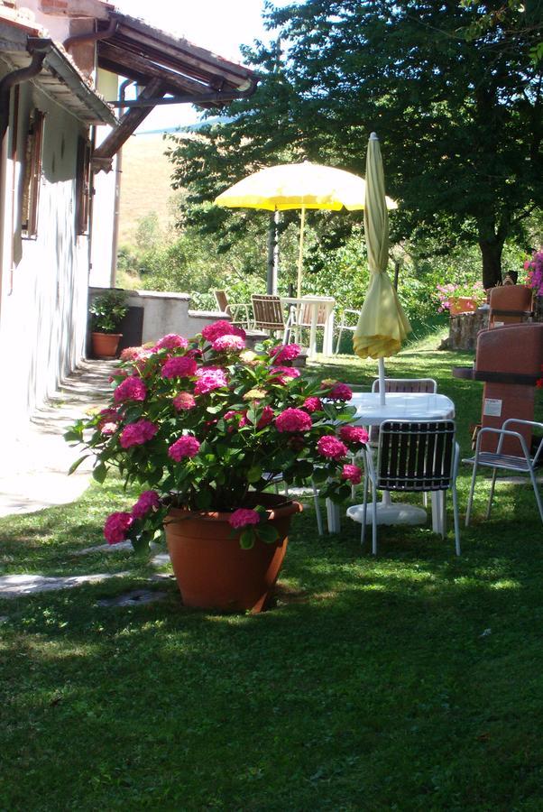 Agriturismo La Guinza Arcidosso Esterno foto
