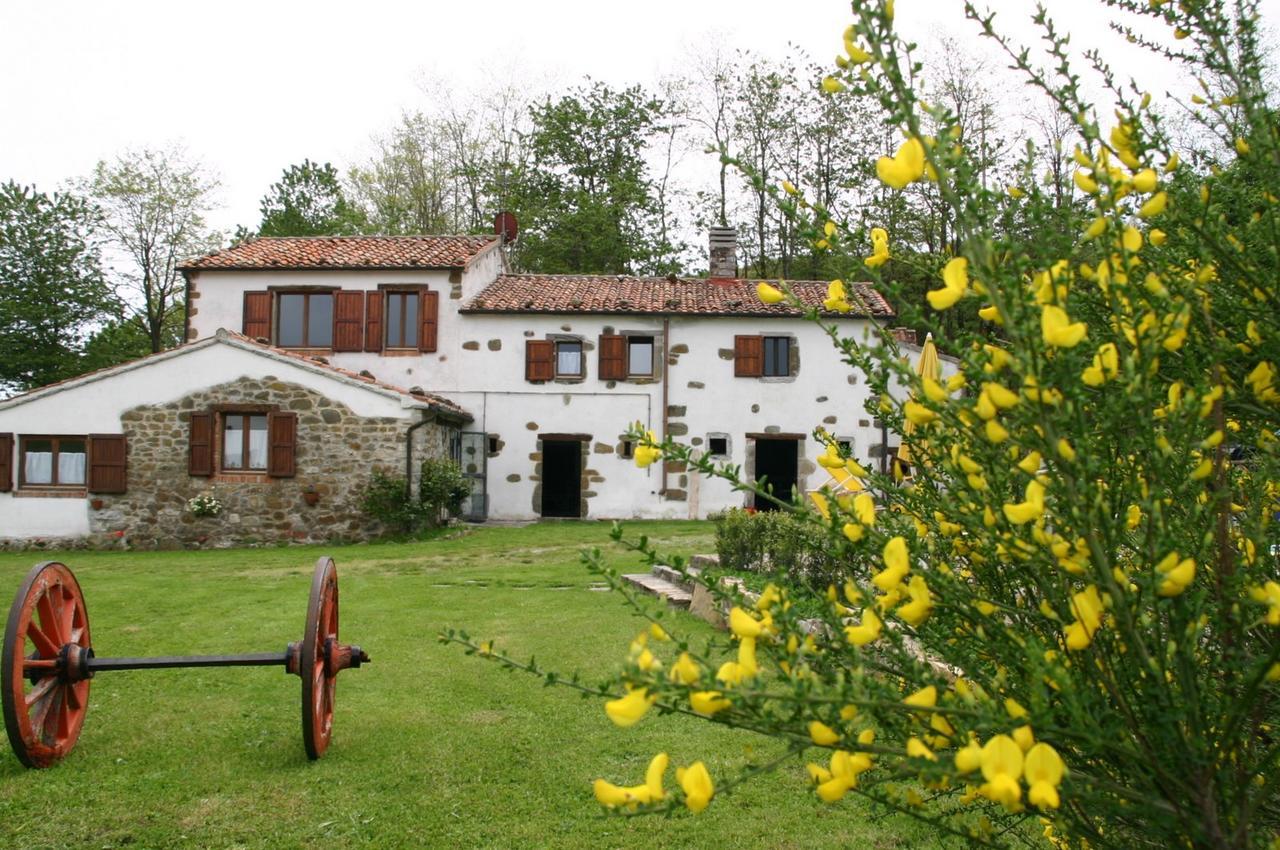 Agriturismo La Guinza Arcidosso Esterno foto