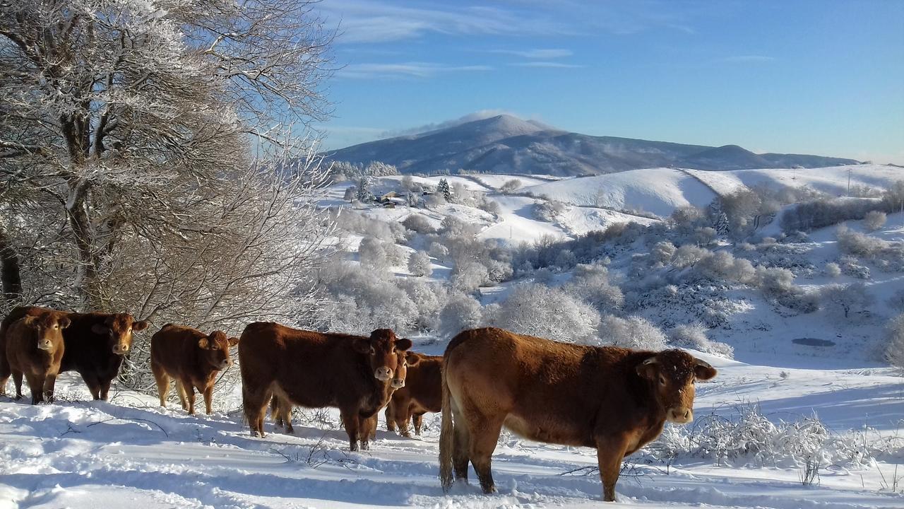Agriturismo La Guinza Arcidosso Esterno foto